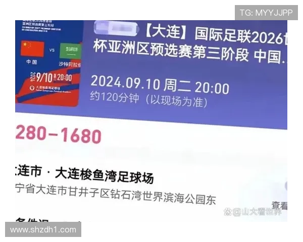 中国球迷决赛免票入场沙特成行